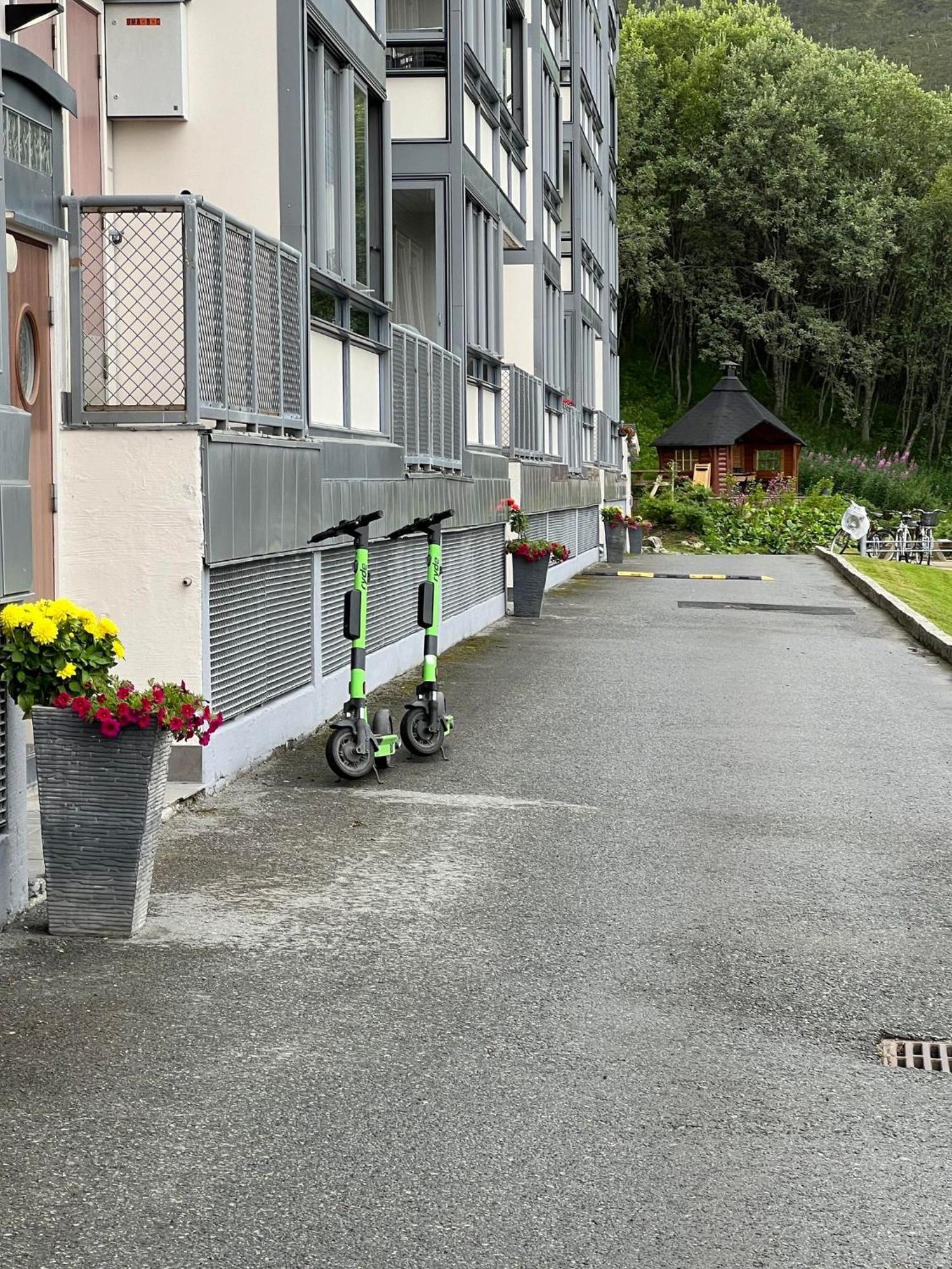 Miracle Tromso, Cozy Double Bed Private Room In A Shared Apartment With Stunning Tromso Views Екстер'єр фото